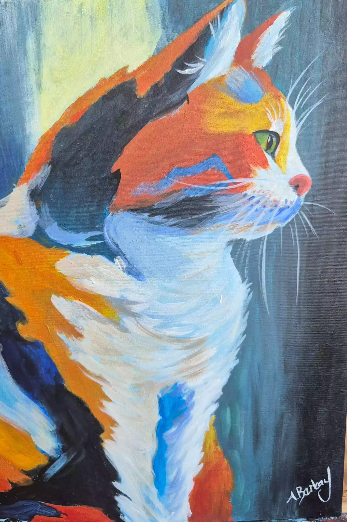 Cat