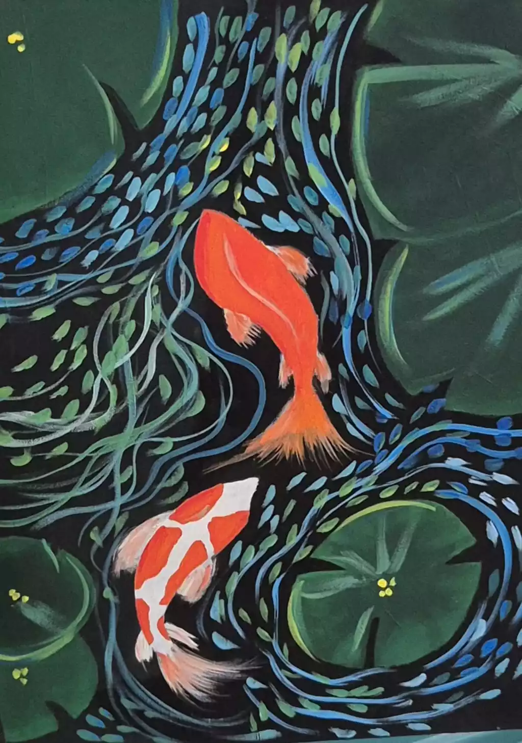 Koi