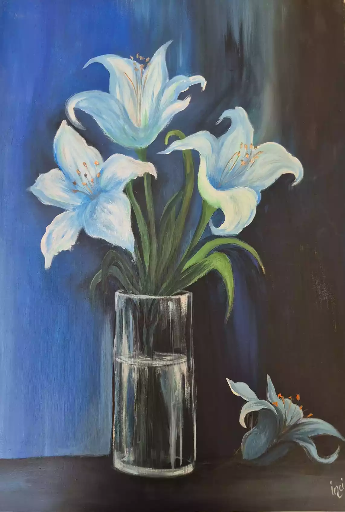Lilium