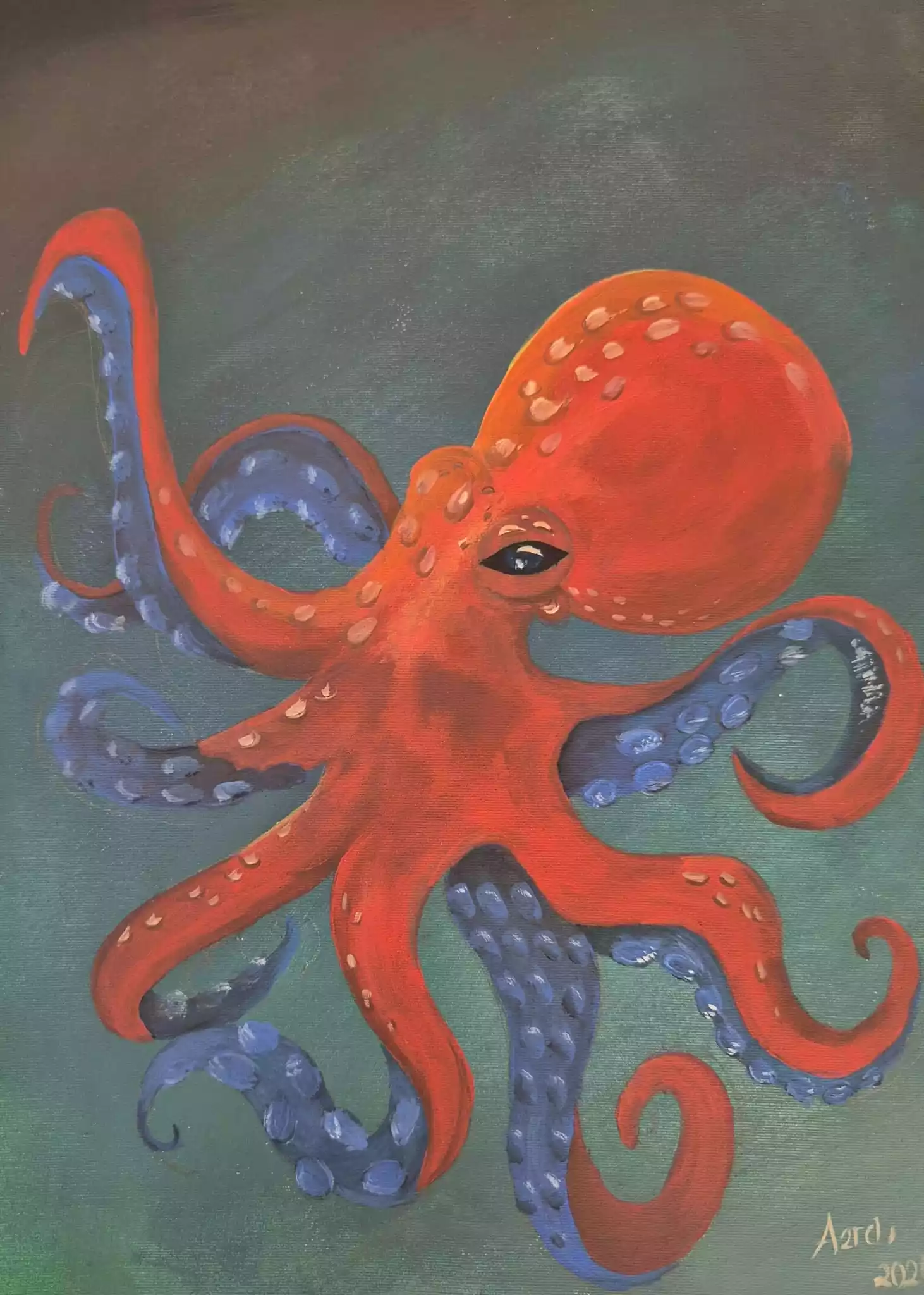 Octopus