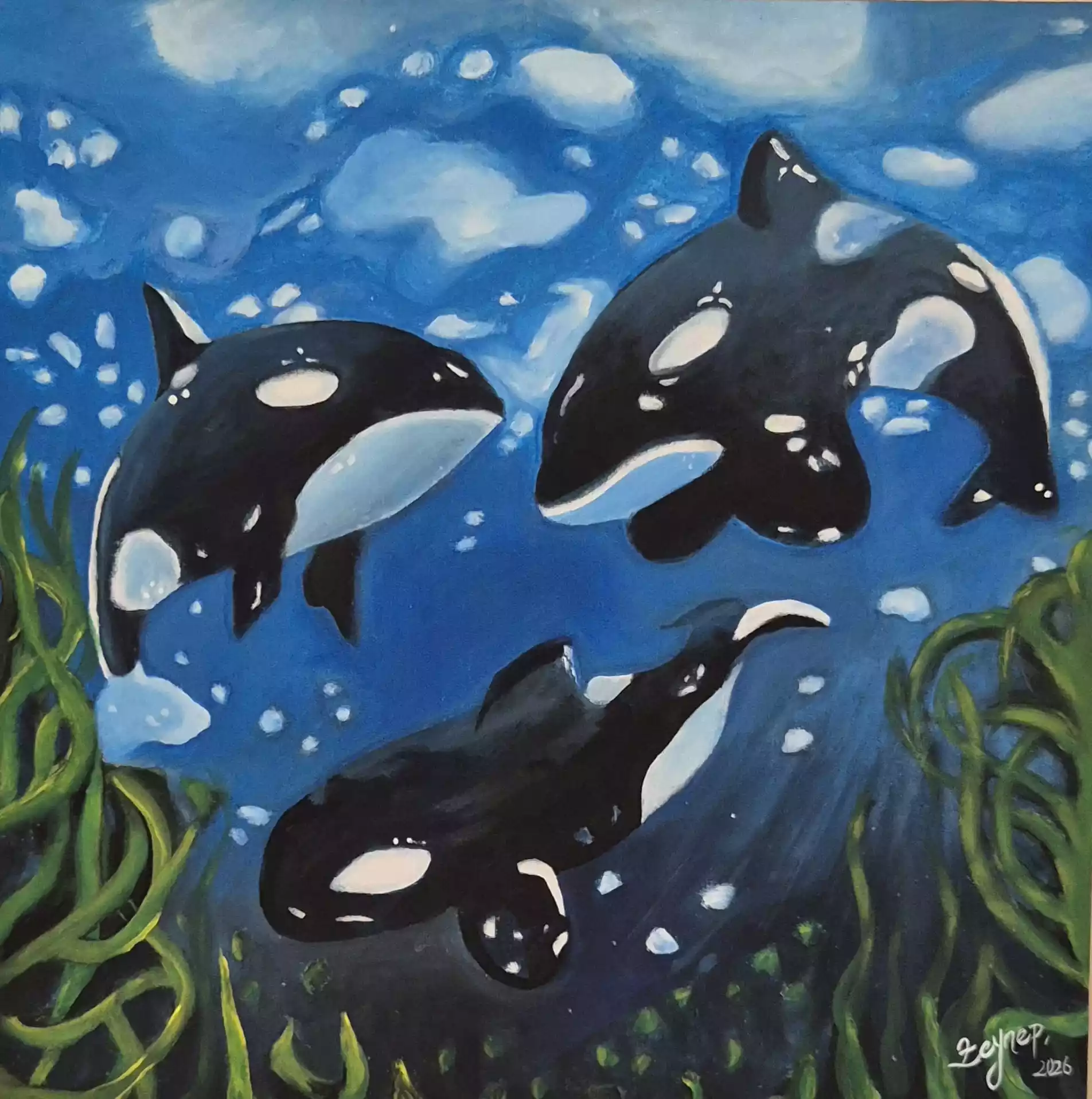 Orca
