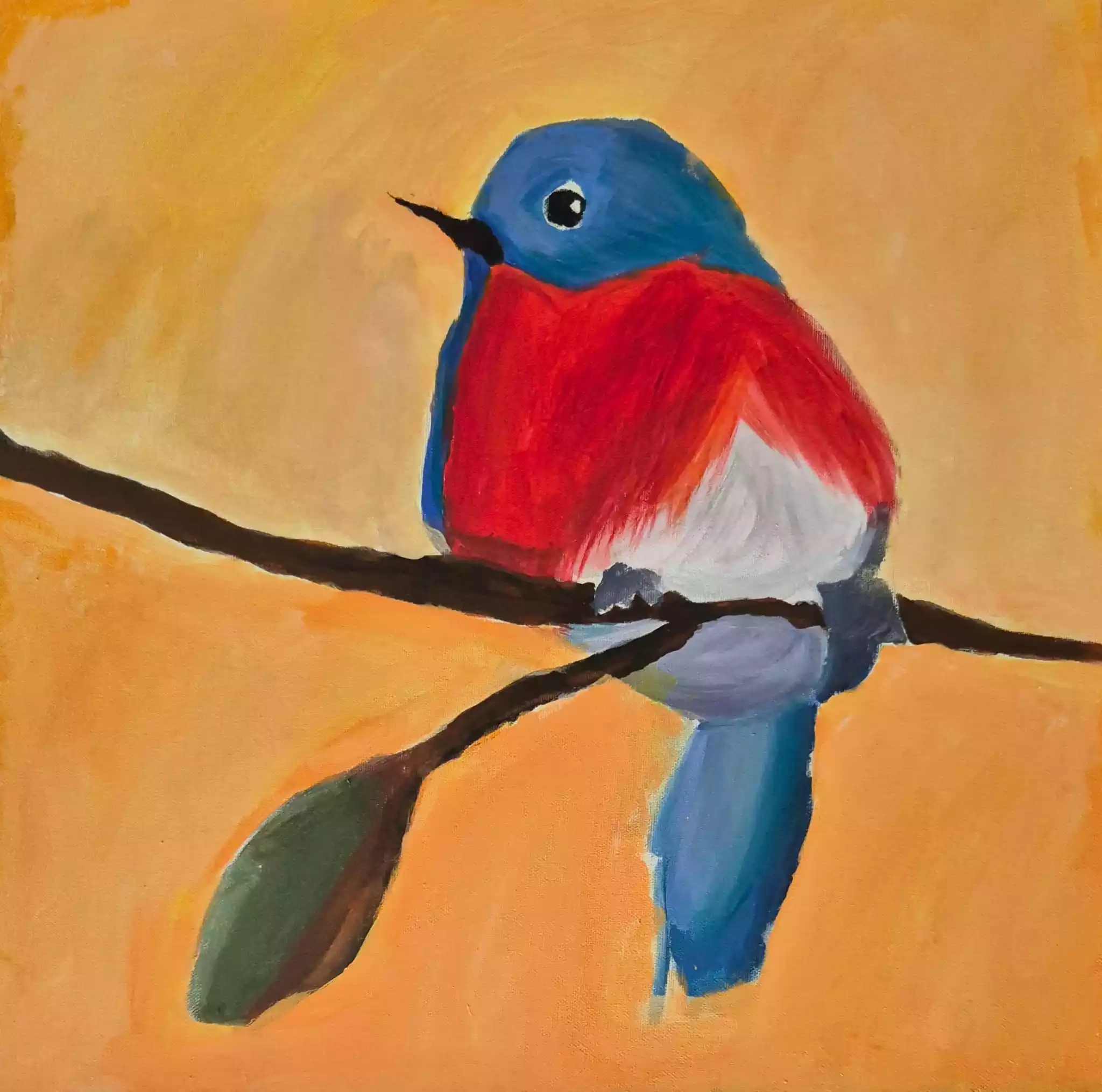 Robin
