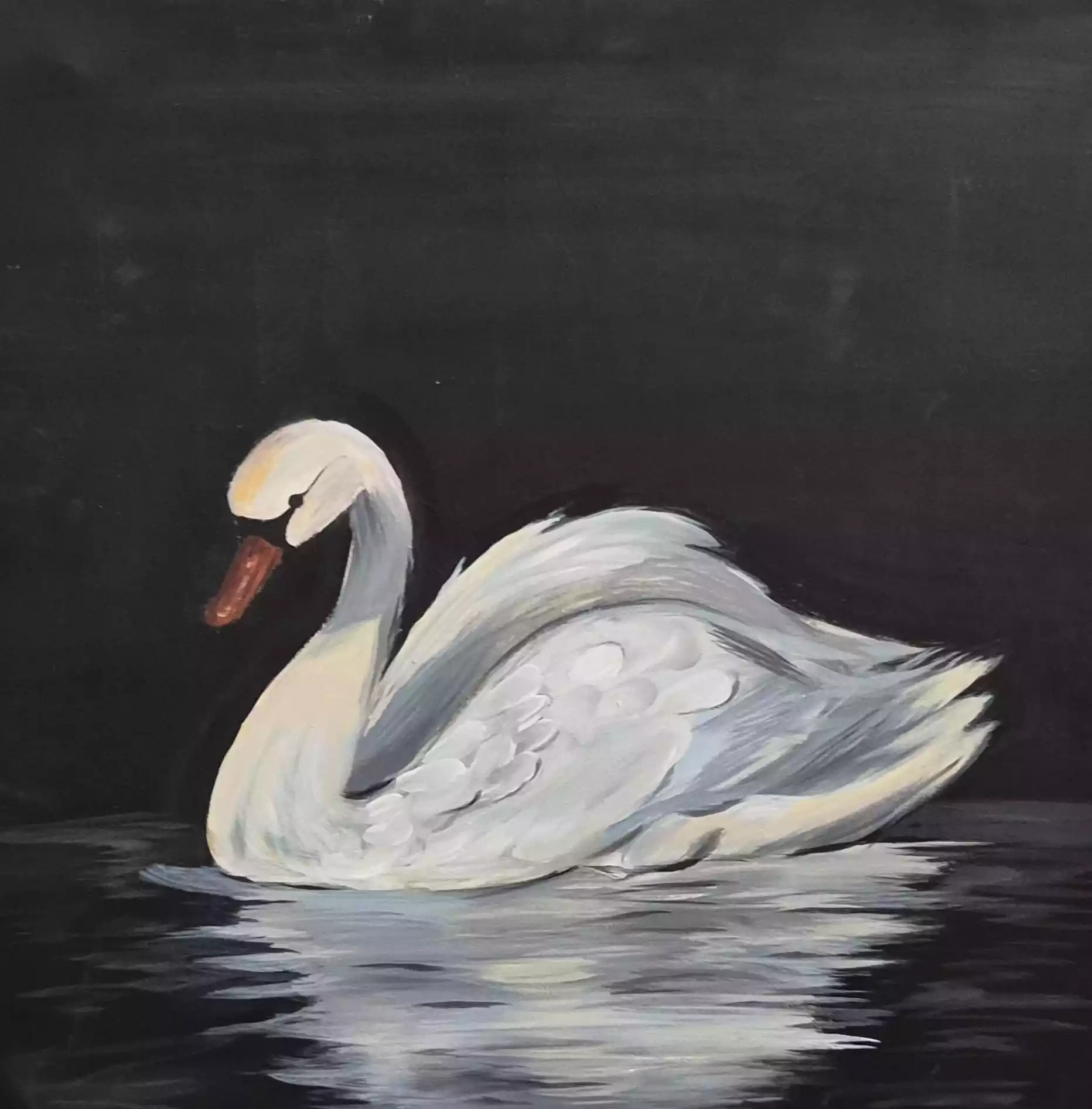 Swan