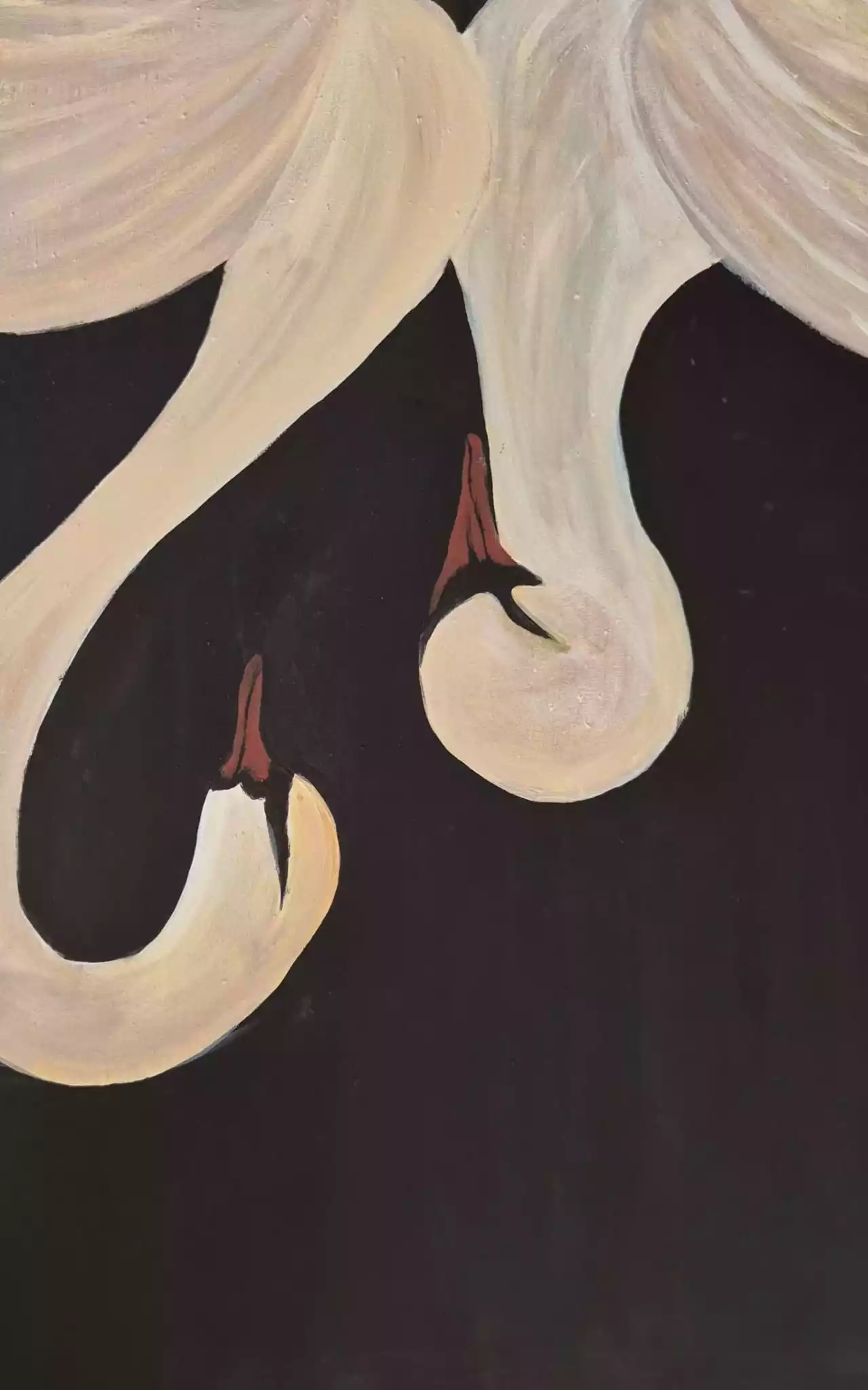 Swans